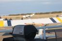 Filename=IMG_3151.JPG
Filesize=166KiB
Dimensions=2048x1365
Date added=Oct 03, 2017 IMG_3151.JPG